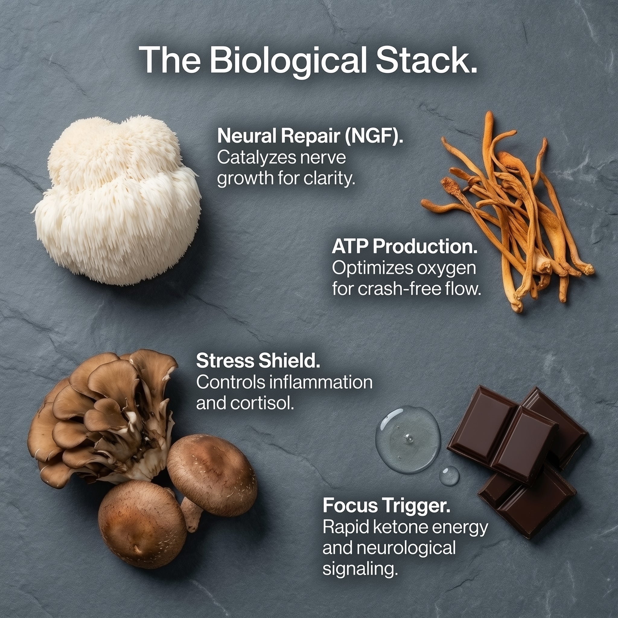 Mushroom Focus Strips